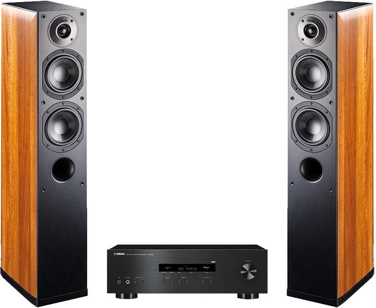 Recenzja zestawu audio Yamaha R-S202D i Indiana Line Nota 550 X
